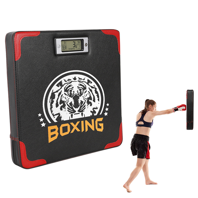 Boxing Punching Pad